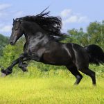 عکس برای پس زمینه